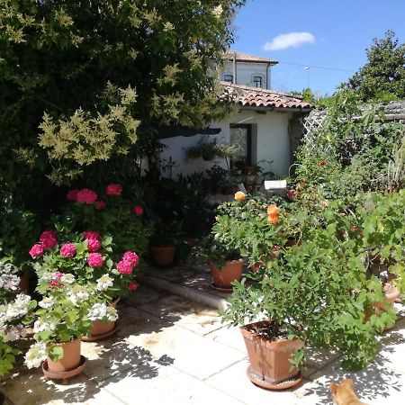 B&B Le Ortensie Castagnole Exterior photo