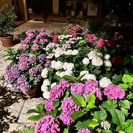 B&B Le Ortensie Castagnole Exterior photo