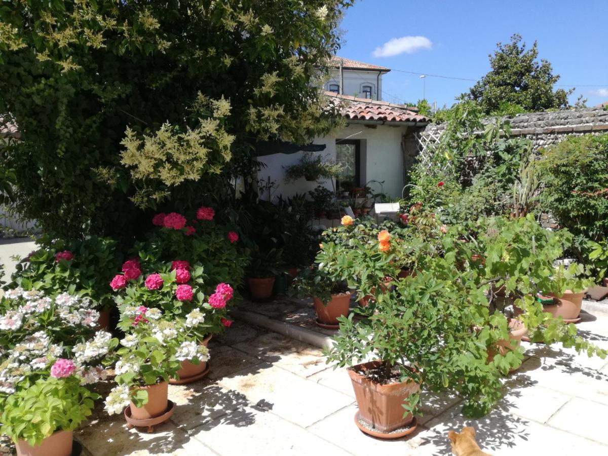 B&B Le Ortensie Castagnole Exterior photo